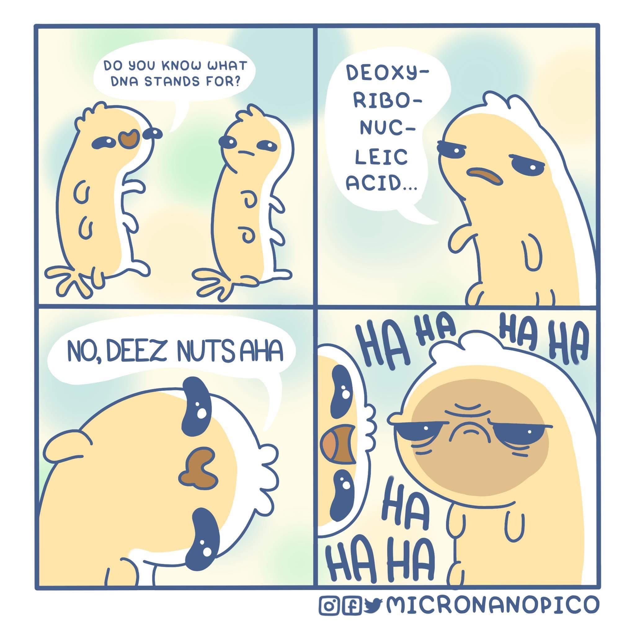 The Double Helix Of Humor