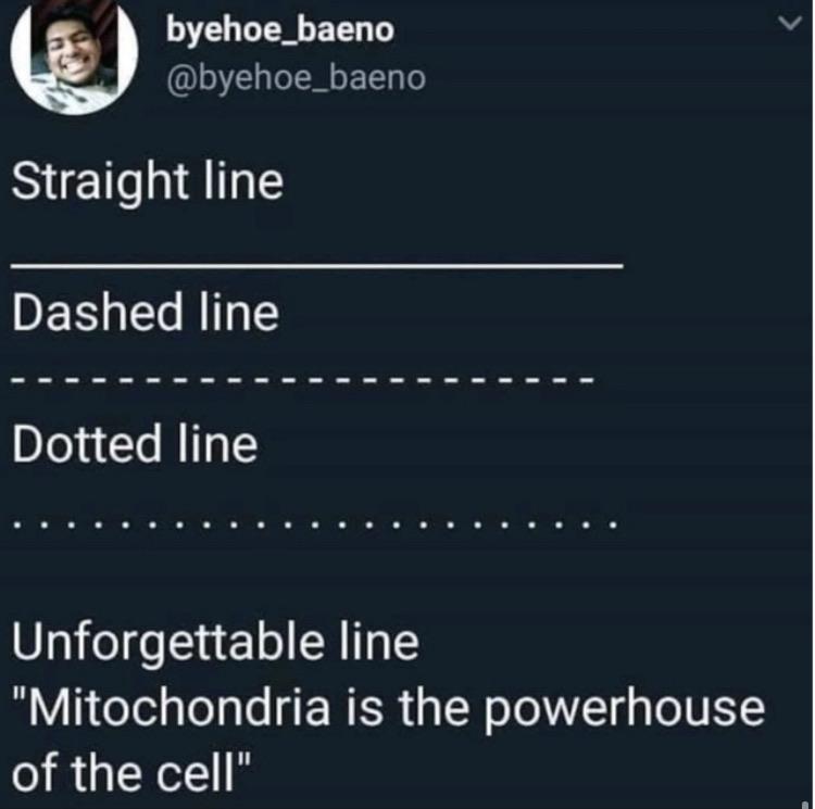 Mitochondria: The Unforgettable Line Of Biology Class