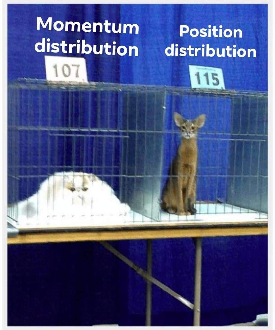 Schrödinger's Distant Cousins: The Uncertainty Principle