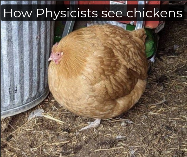 How Physicists See Chickens
