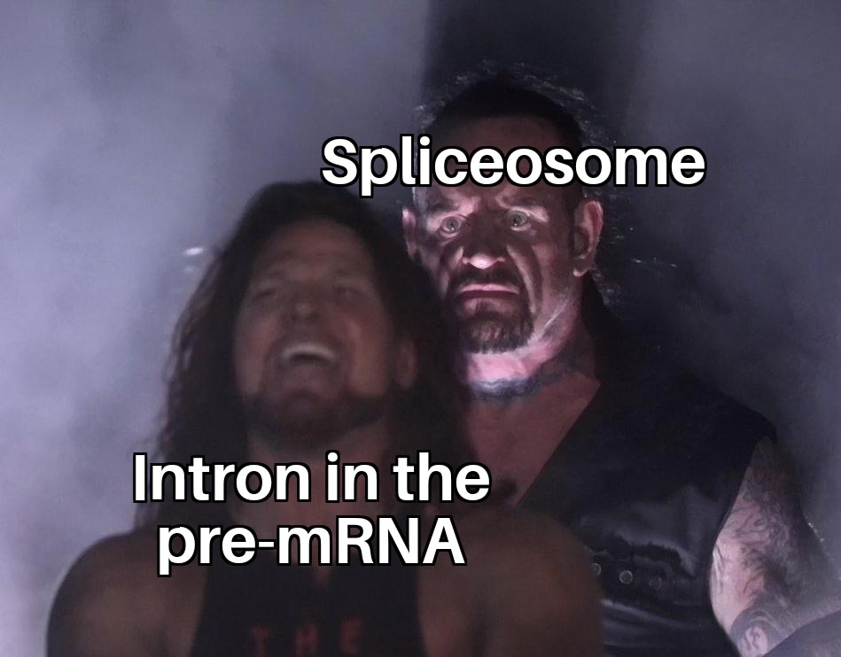 The Genetic Smackdown