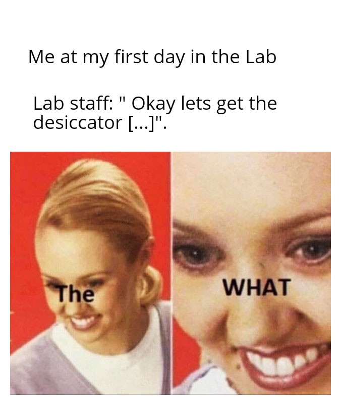 My First Lab Day