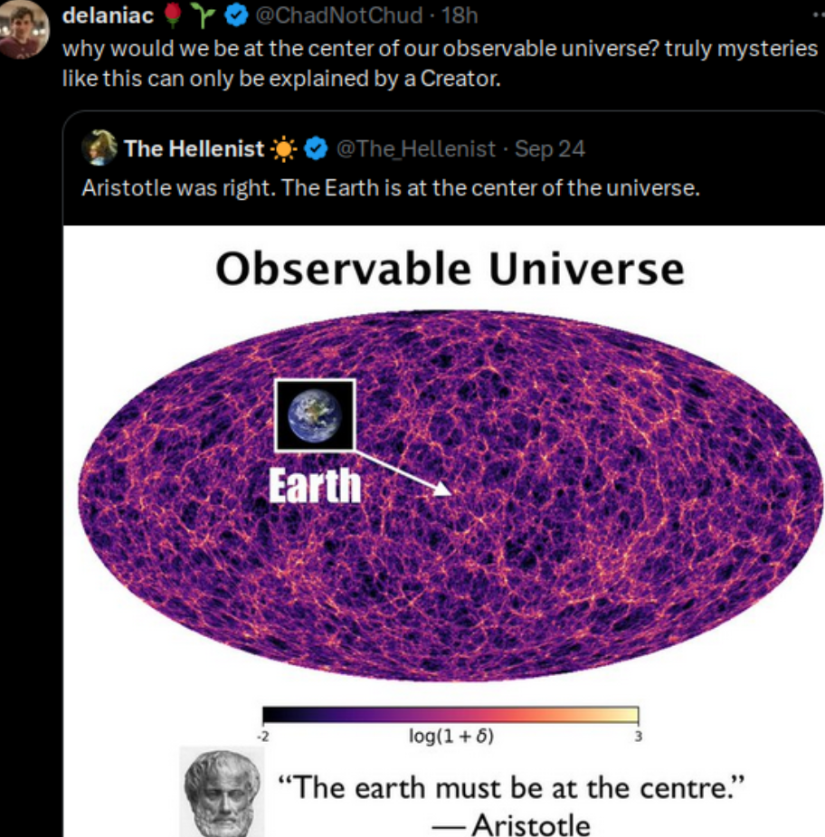 The Cosmic Selfie Paradox