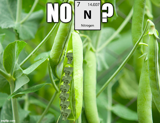 No N? Peas Explain!