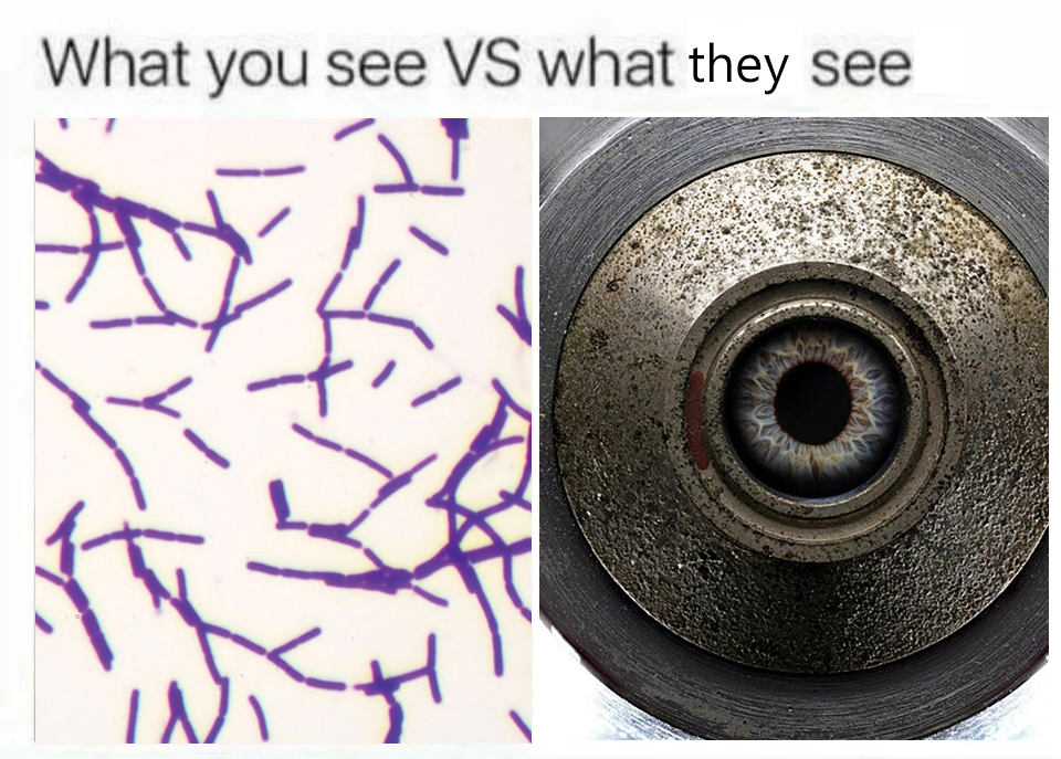 What You See Vs What They See