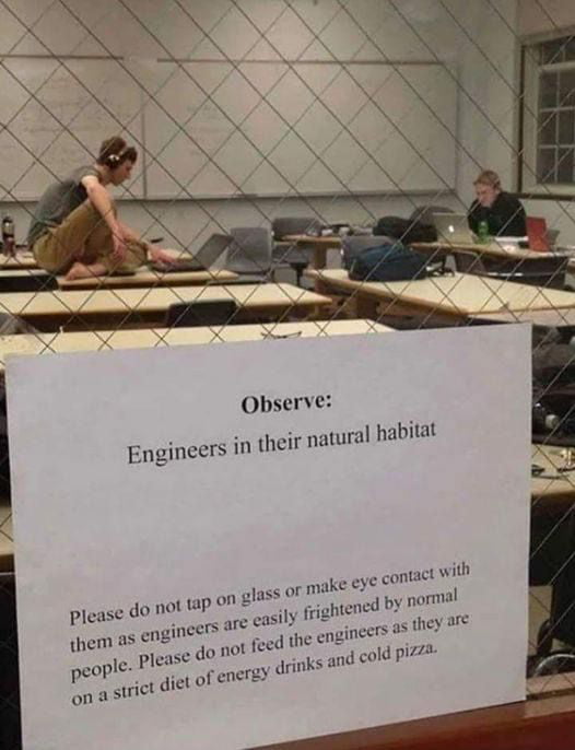Engineers In Their Natural Habitat