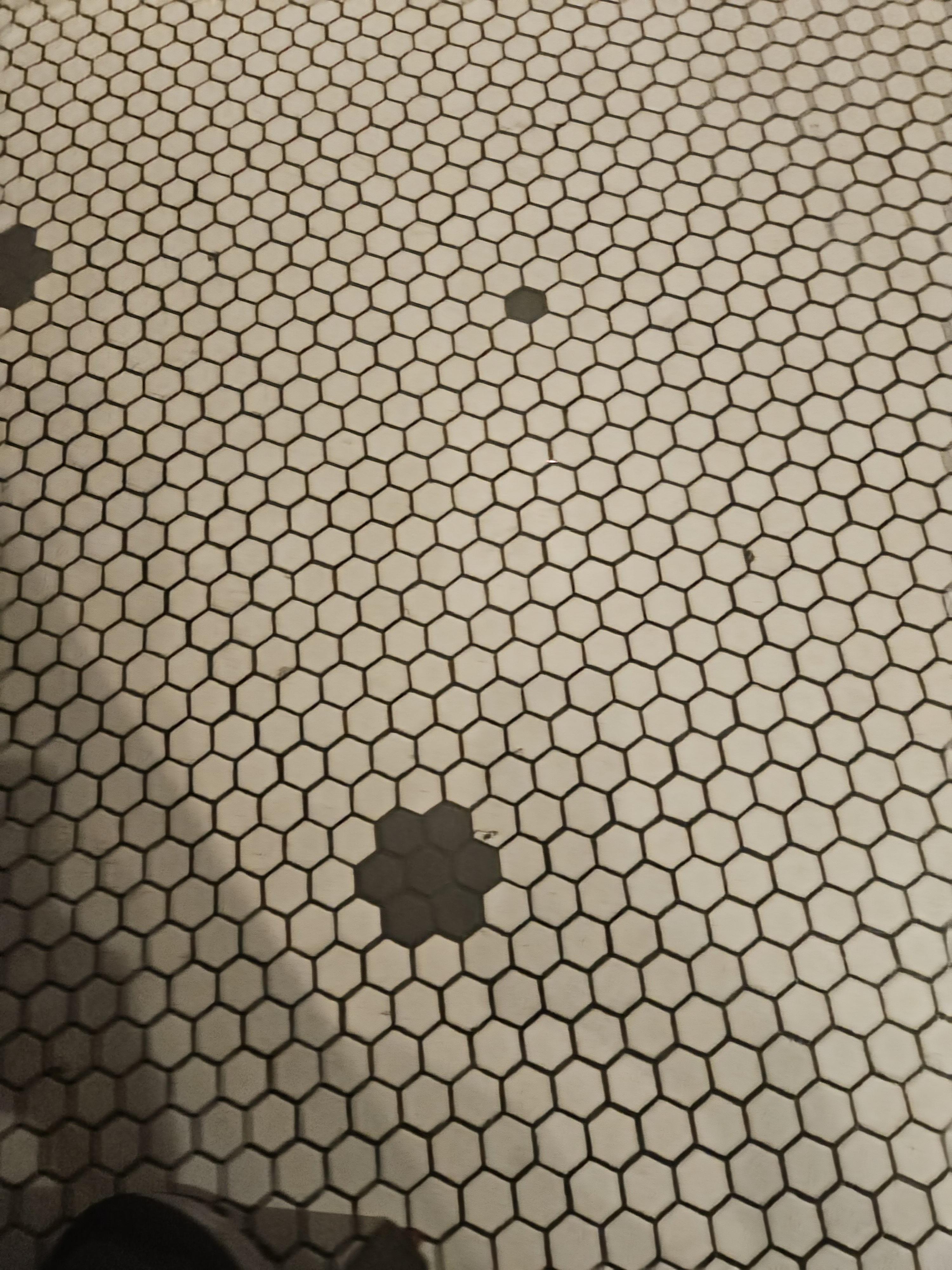 The Place I Ate Dinner At Yesterday Had This Floor, It Made Me Happy.