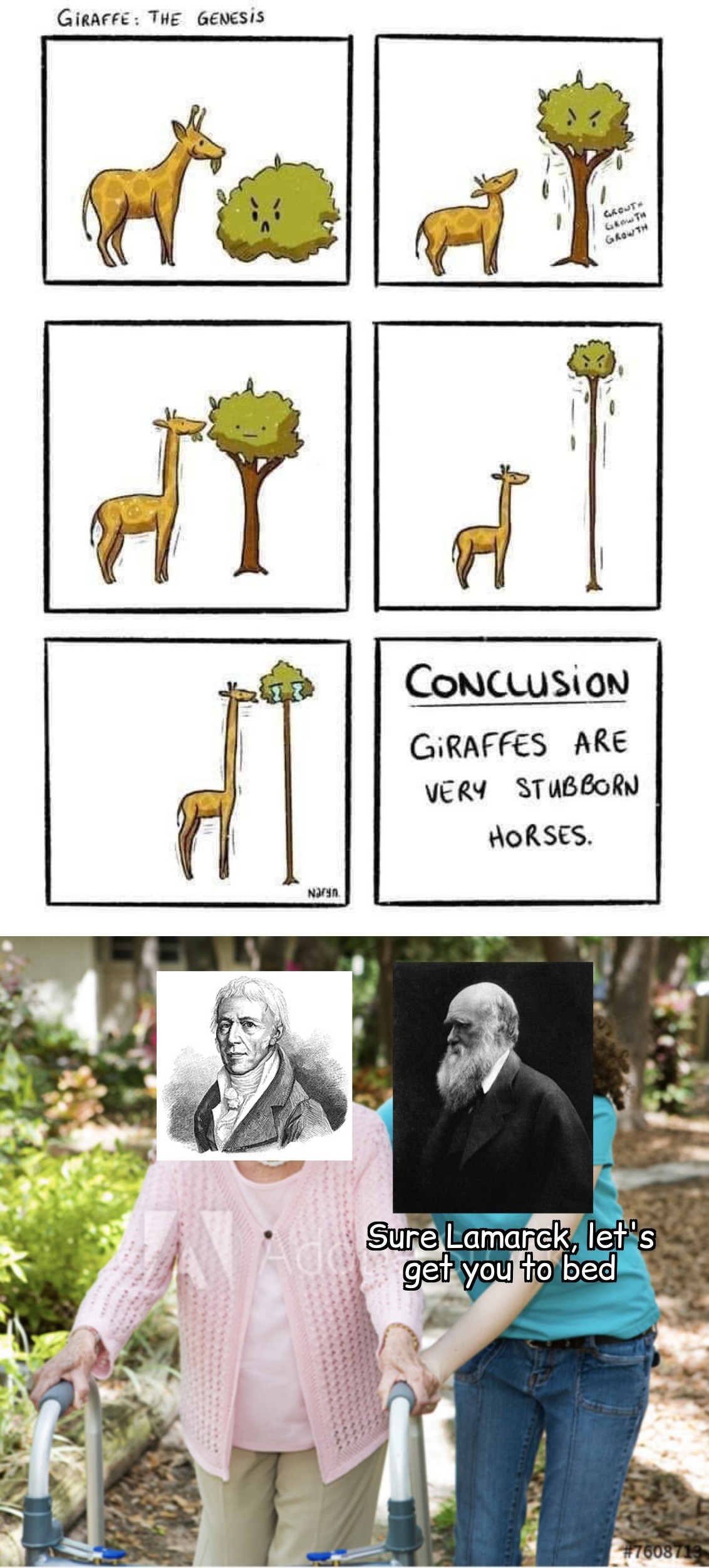 Sure Lamarck, Let's Get You To Bed