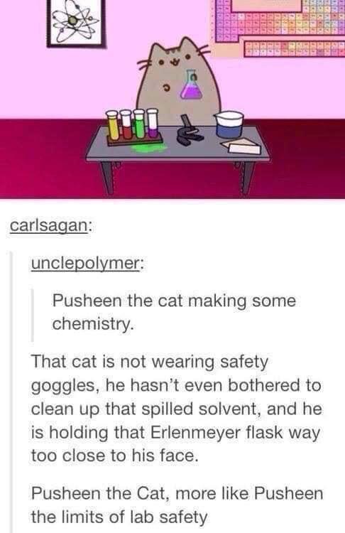 Pusheen The Safety Inspector's Nightmare