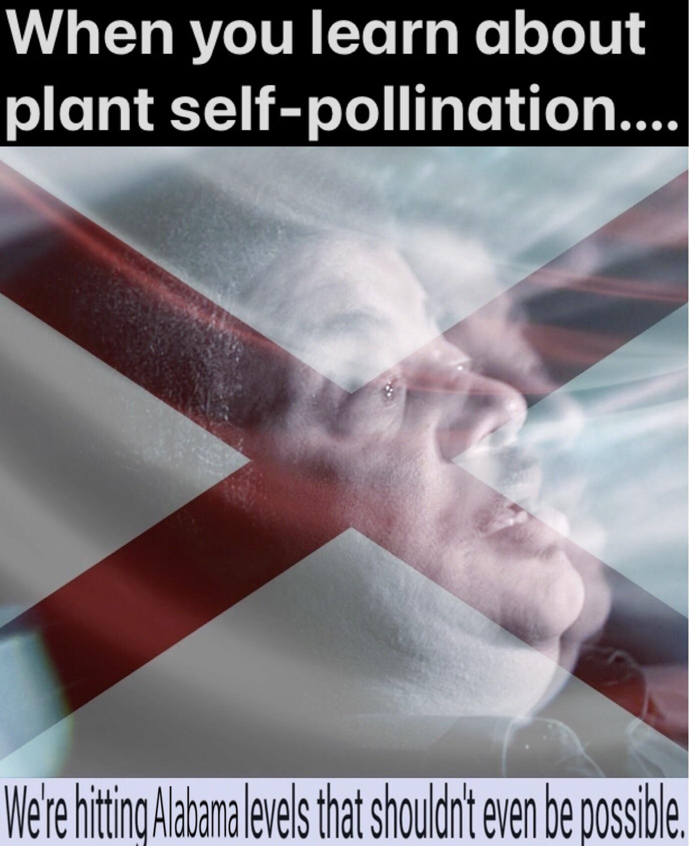 Plants Do Weird Shit