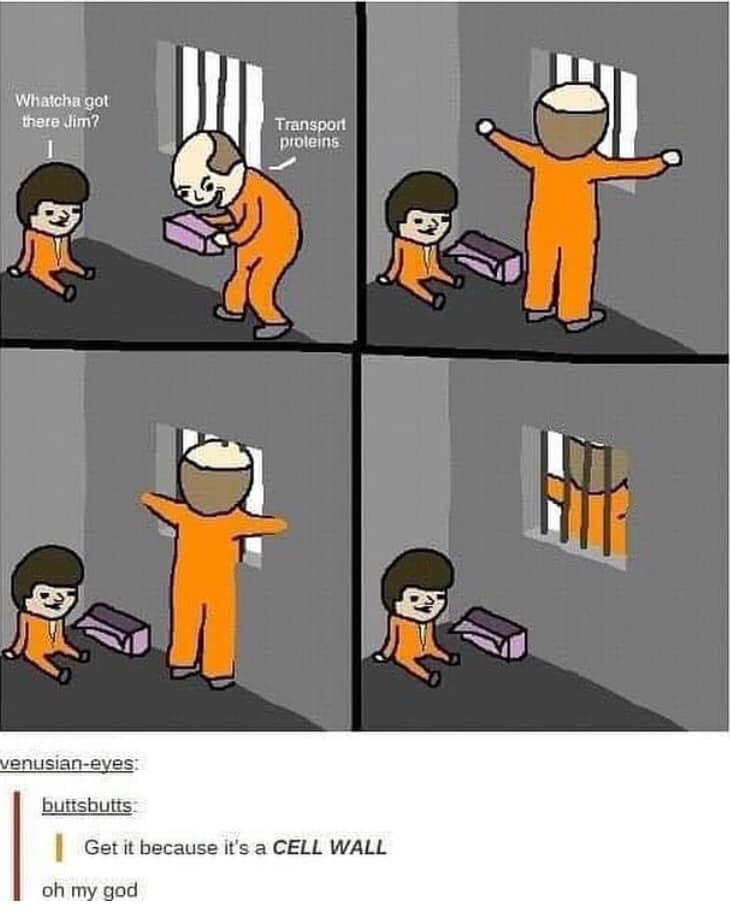 Prison Break: The Cellular Edition