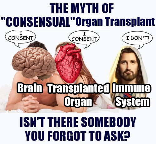 The Immune System: Unauthorized Organs Not Welcome