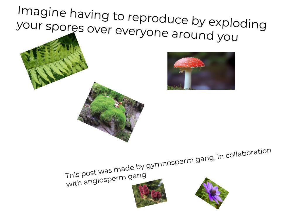 Plant Reproduction: Nature's Awkward Dating Scene