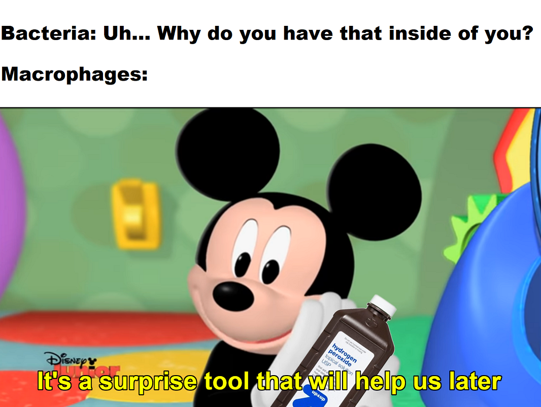 Mickey Mouse: The Immune System's Secret Weapon