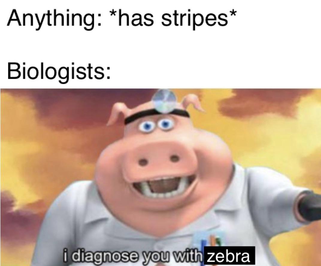 The Stripe Naming Crisis