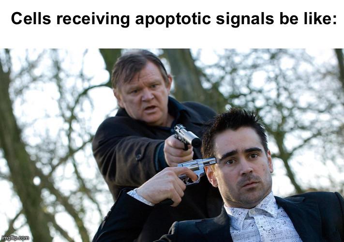 Die Already: The Cellular Rebellion Against Apoptosis