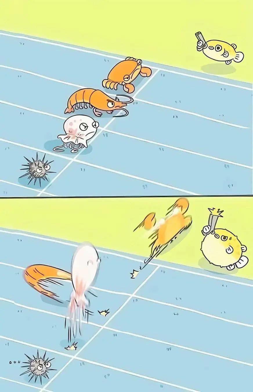 The Olympic Swimming Finals: Pufferfish Edition