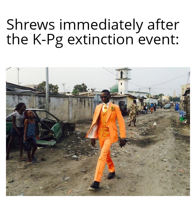 Their Time Had Come