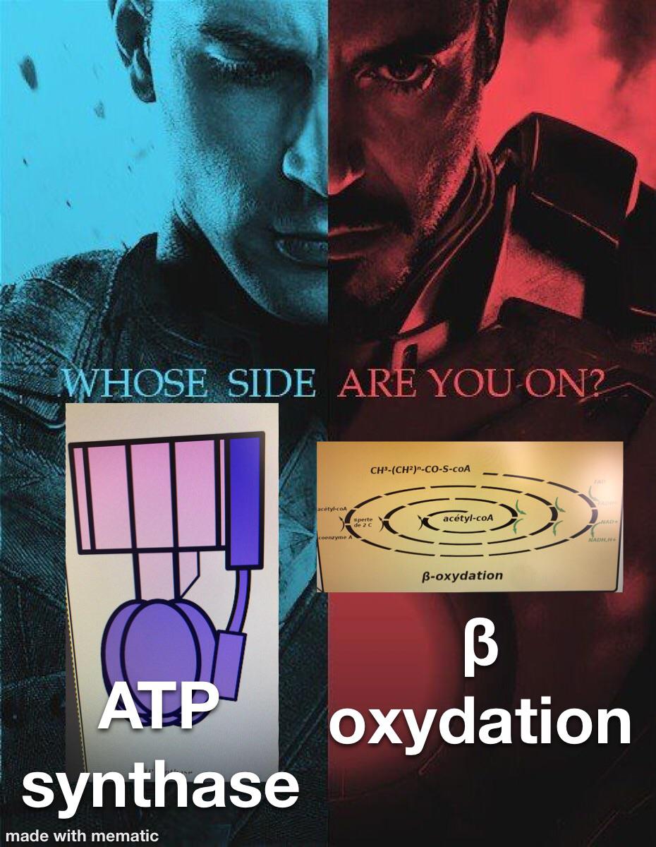 The Cellular Energy Civil War