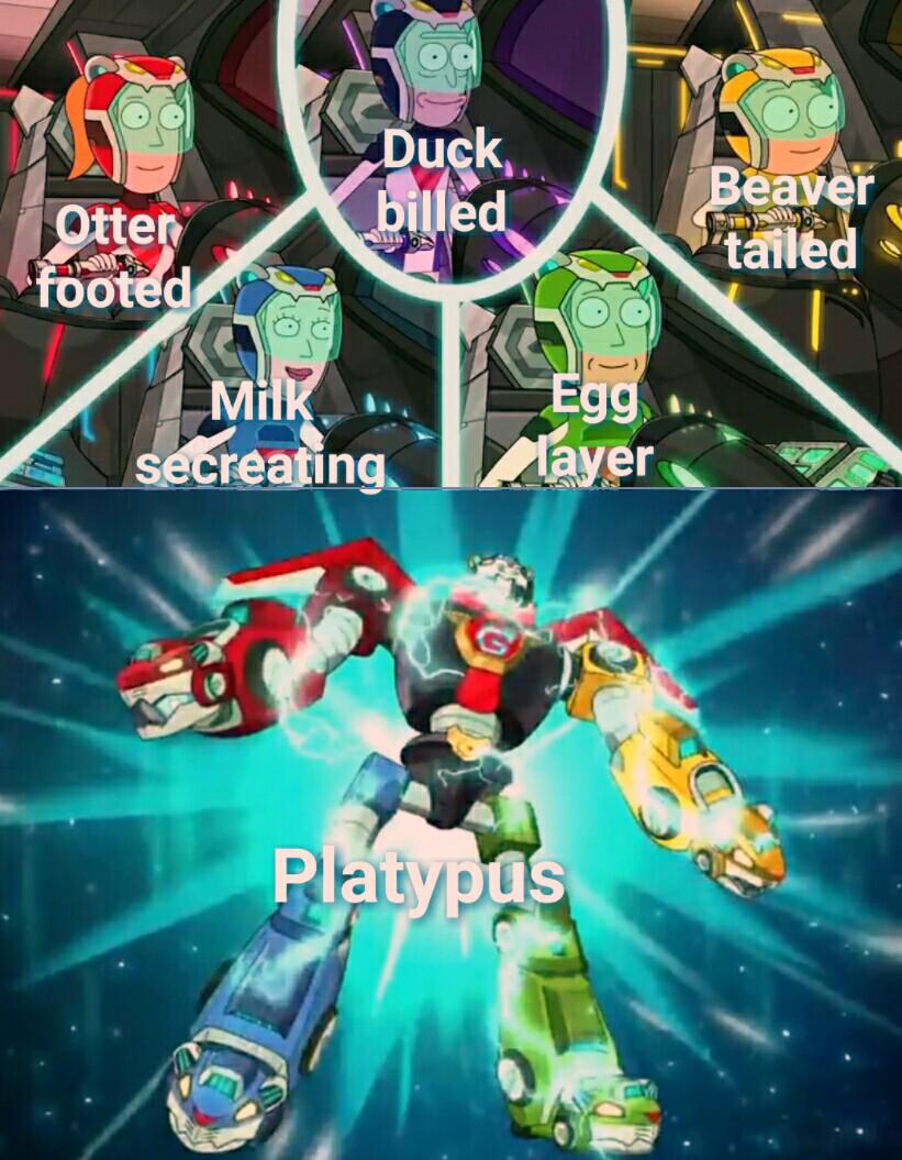 The Ultimate Biological Power Ranger