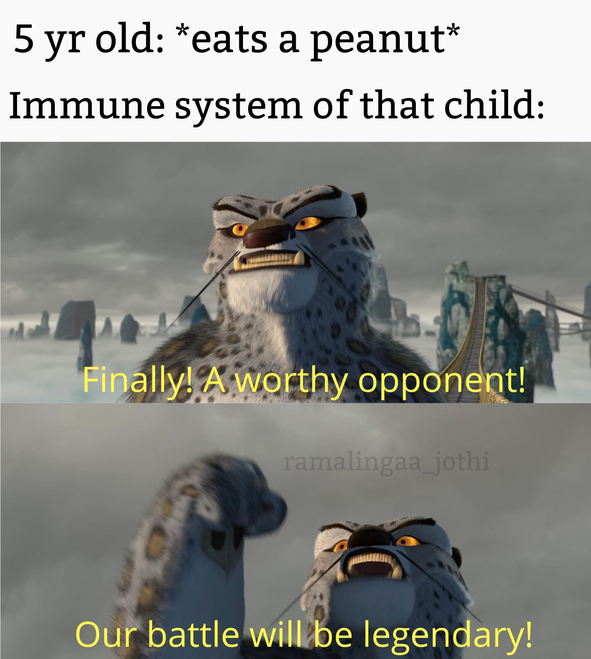 Allergy Goes Brrr