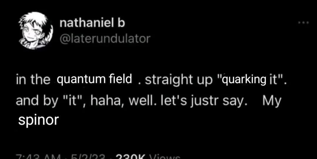 She Field On My Spinor Til I Quark