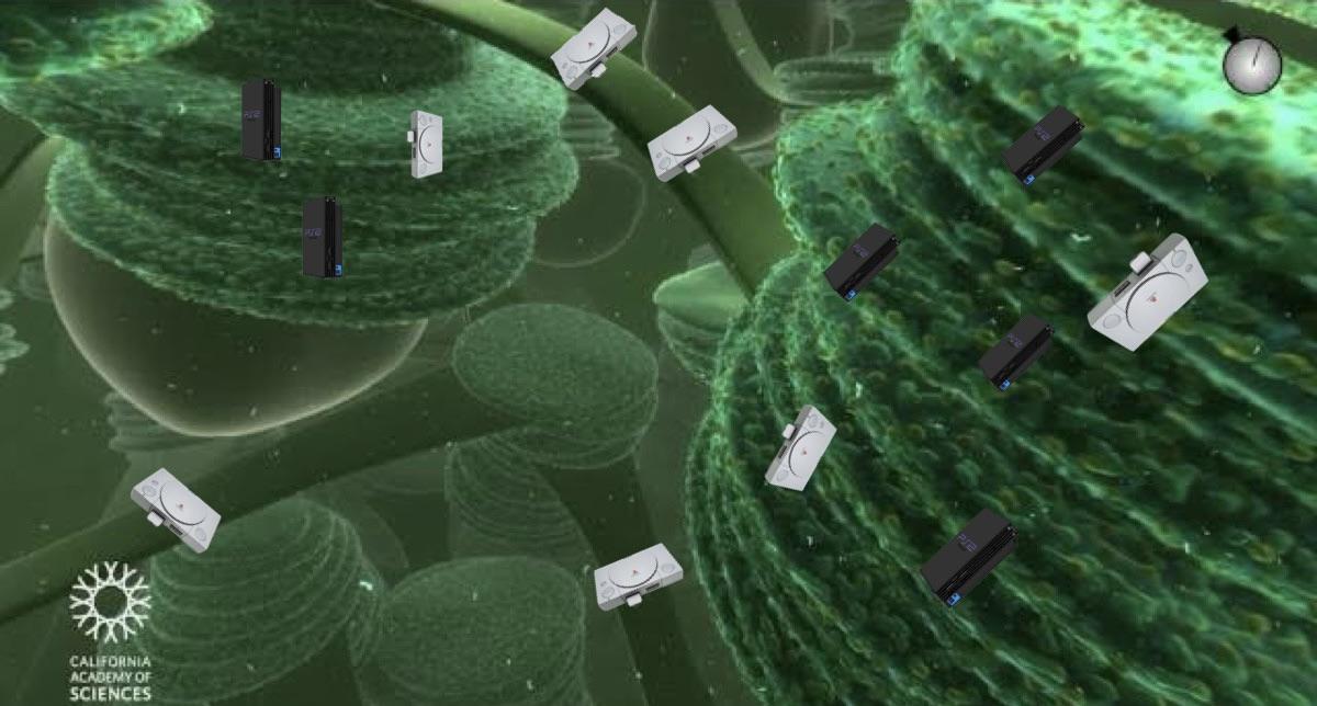 New Electron Microscopic Image Of Chloroplasts