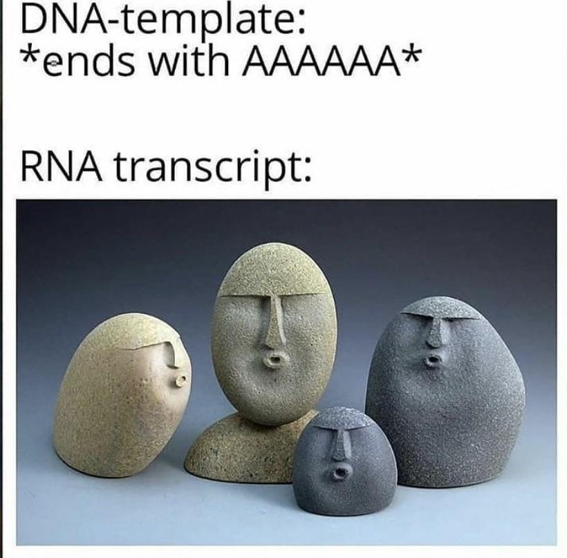 Mamaaaaa UUUUUuuuu