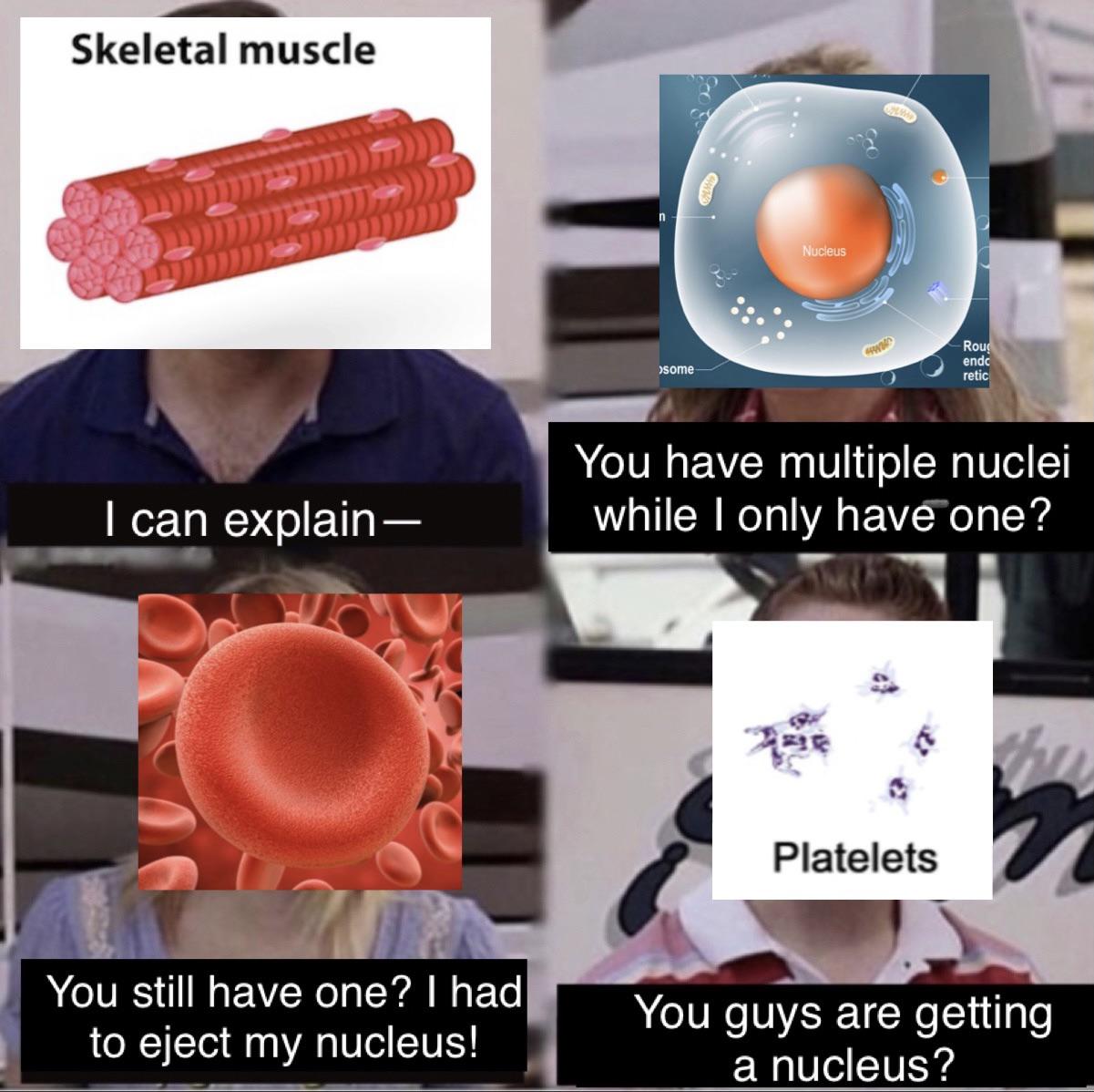 Nuclei Envy: The Cellular Housing Crisis