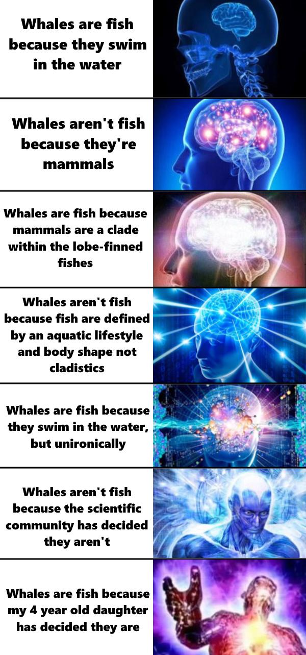 You Can't Escape The Truth About Whales™