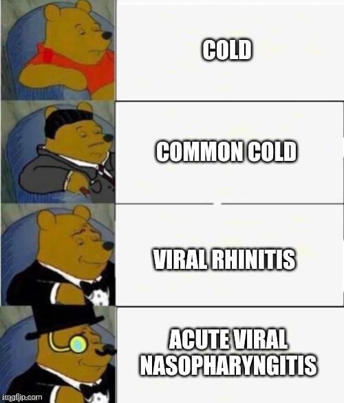 Fancy Bear's Guide To Sniffles