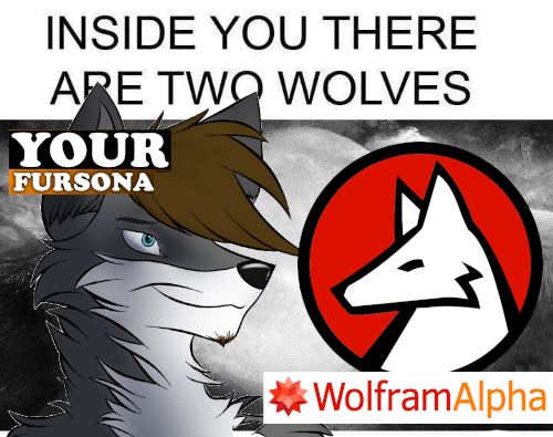The Two Wolves Of Computational Science