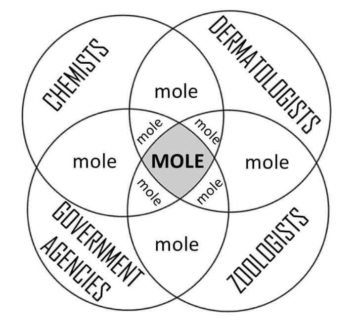 The Magnificent Mole Multiverse