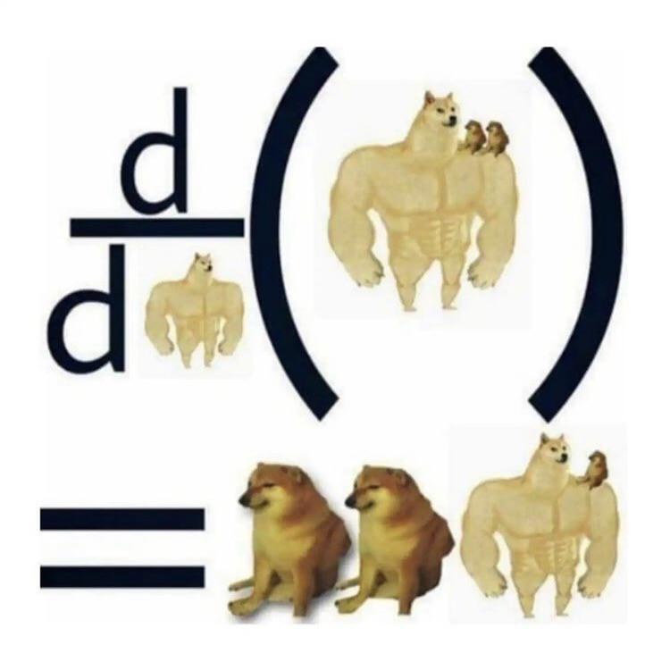 Doge Calculus: When Derivatives Get Ripped