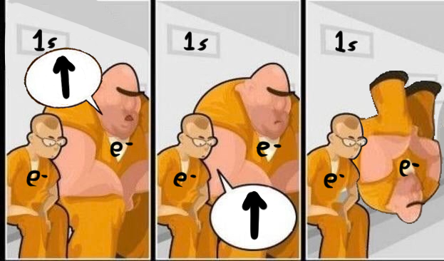 The Pauli Exclusion Principle