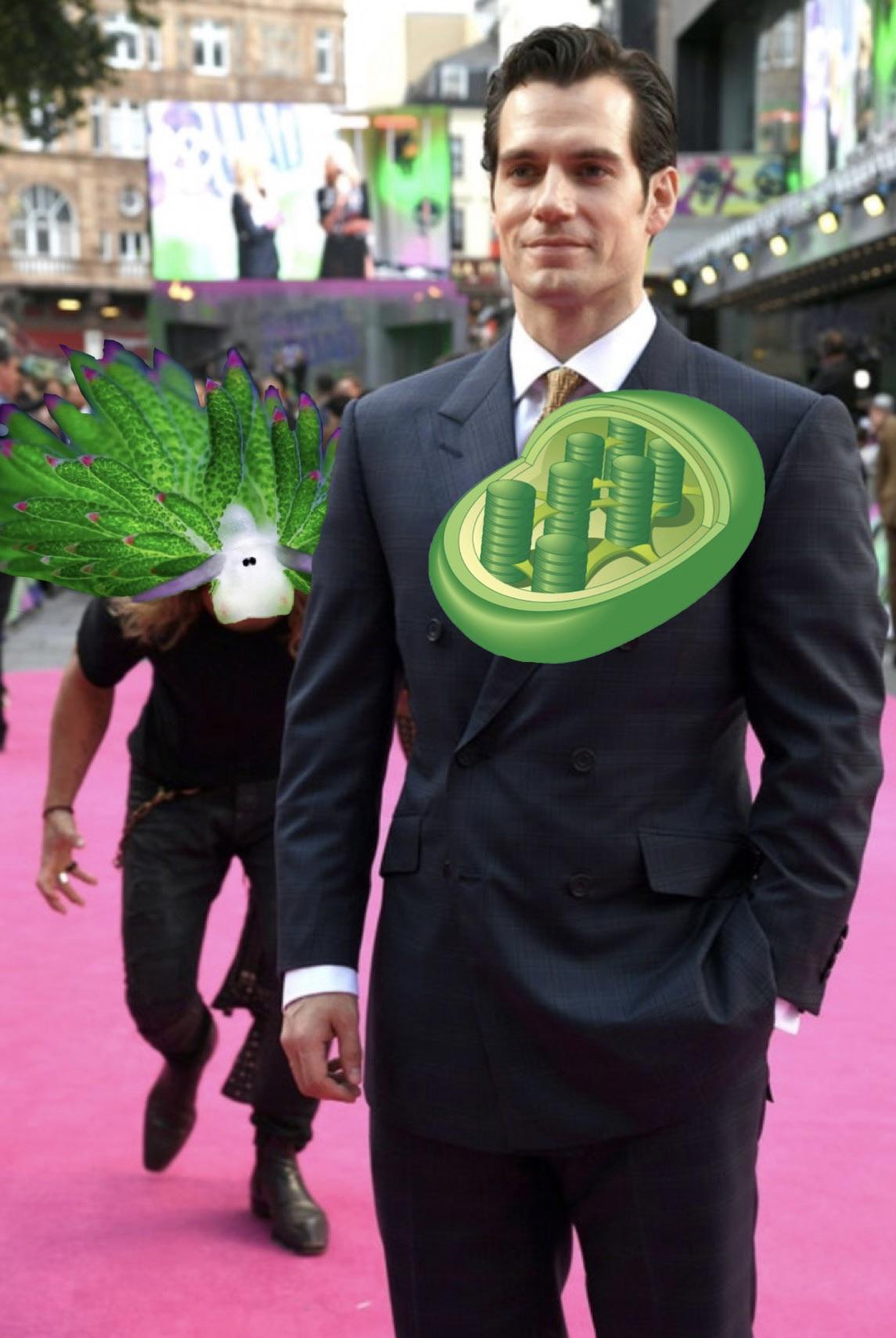 He Is Coming For Your Chloroplasts