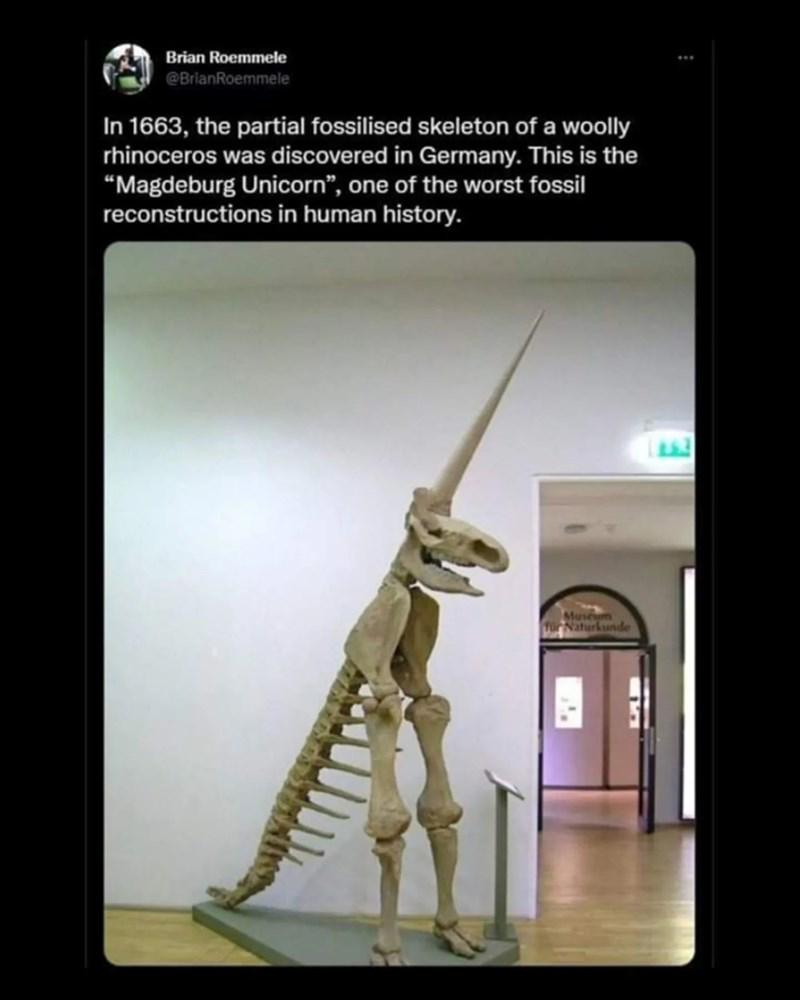 The Magdeburg Unicorn: When Paleontology Goes Horribly Wrong
