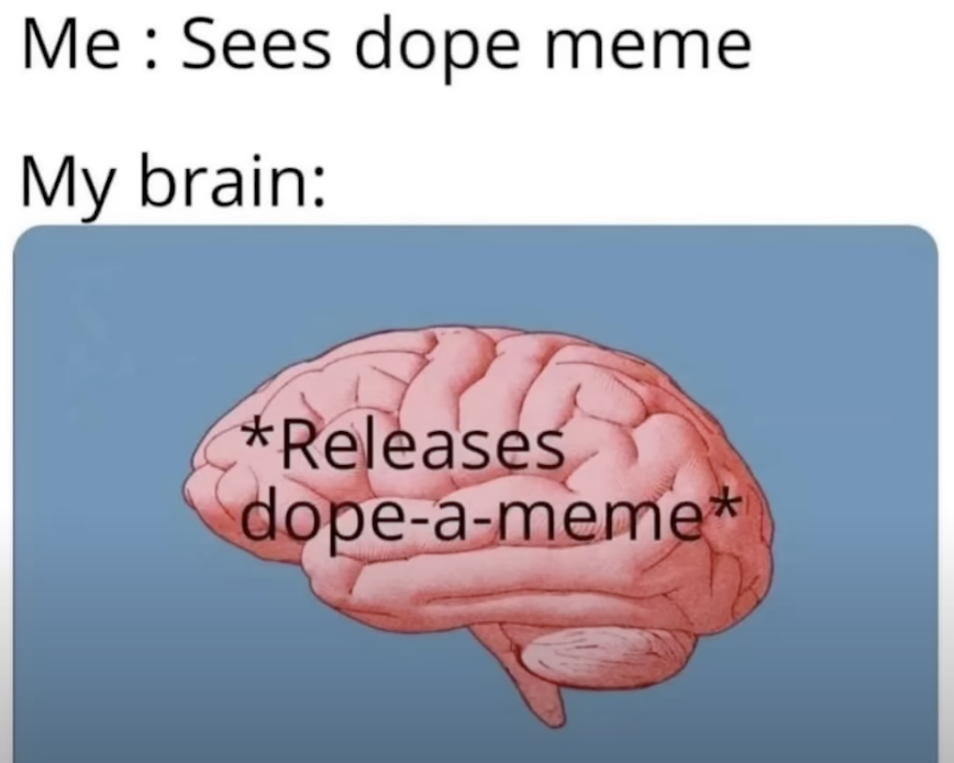 Dopamine: The Original Meme Chemical