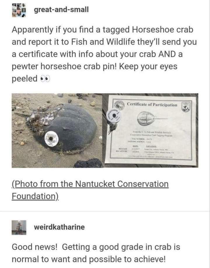Strive For Crab