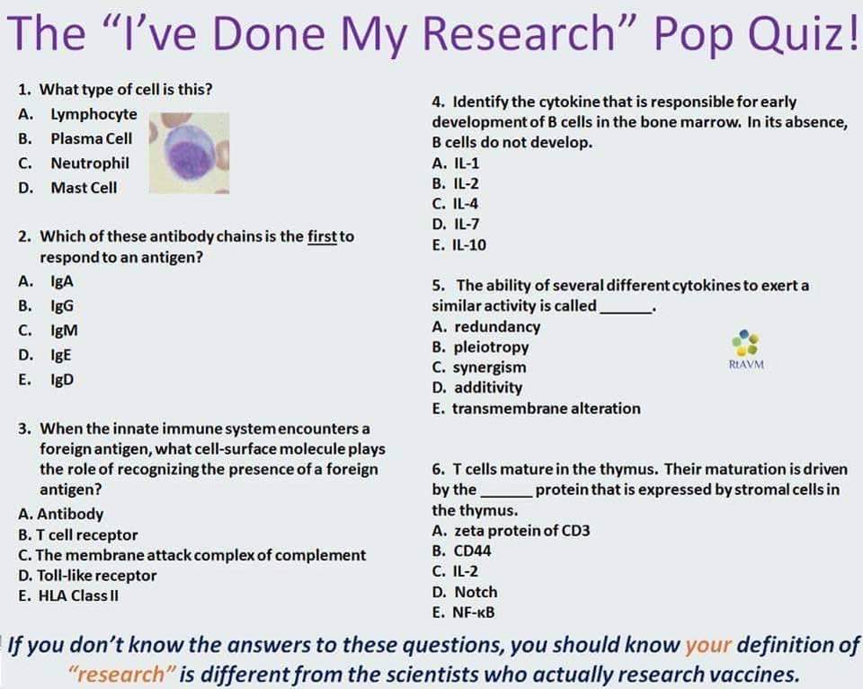 The "I've Done My Research" Pop Quiz