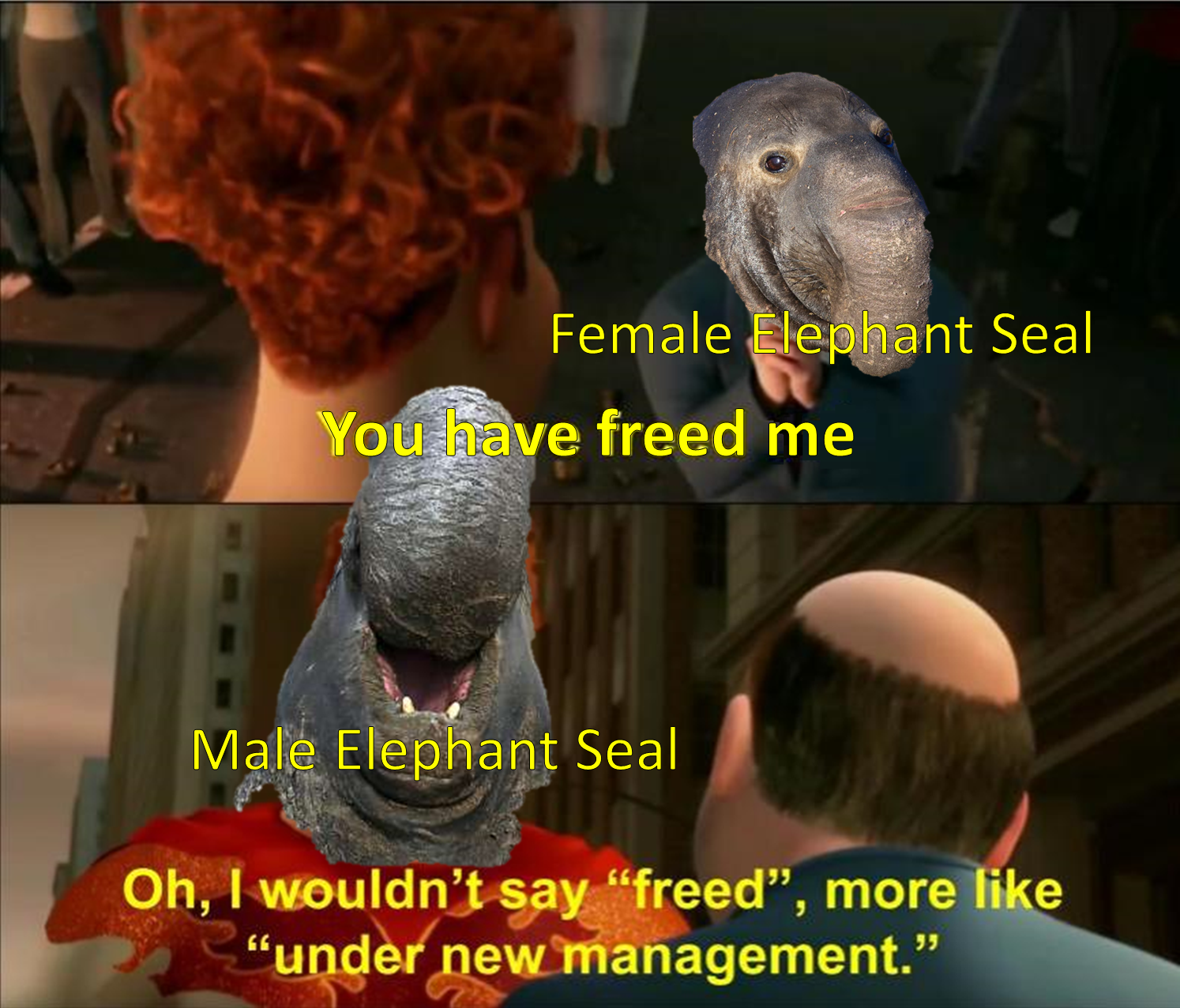 Mammal Patriarchy Be Hittin' Hard