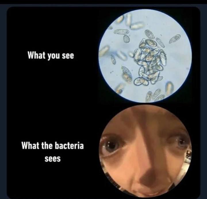 The Observer Effect: Microbial Edition