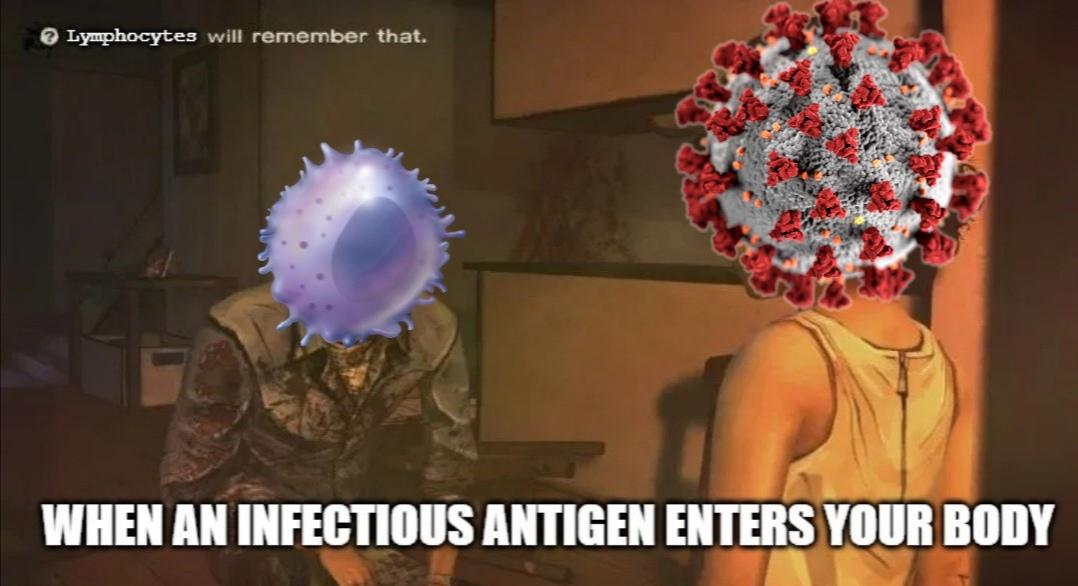 They Never Forget