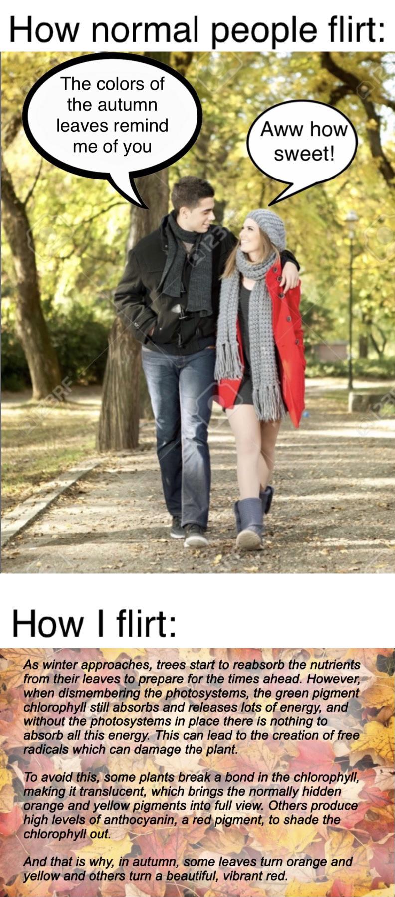 When Flirting Gets Photosynthepersonal