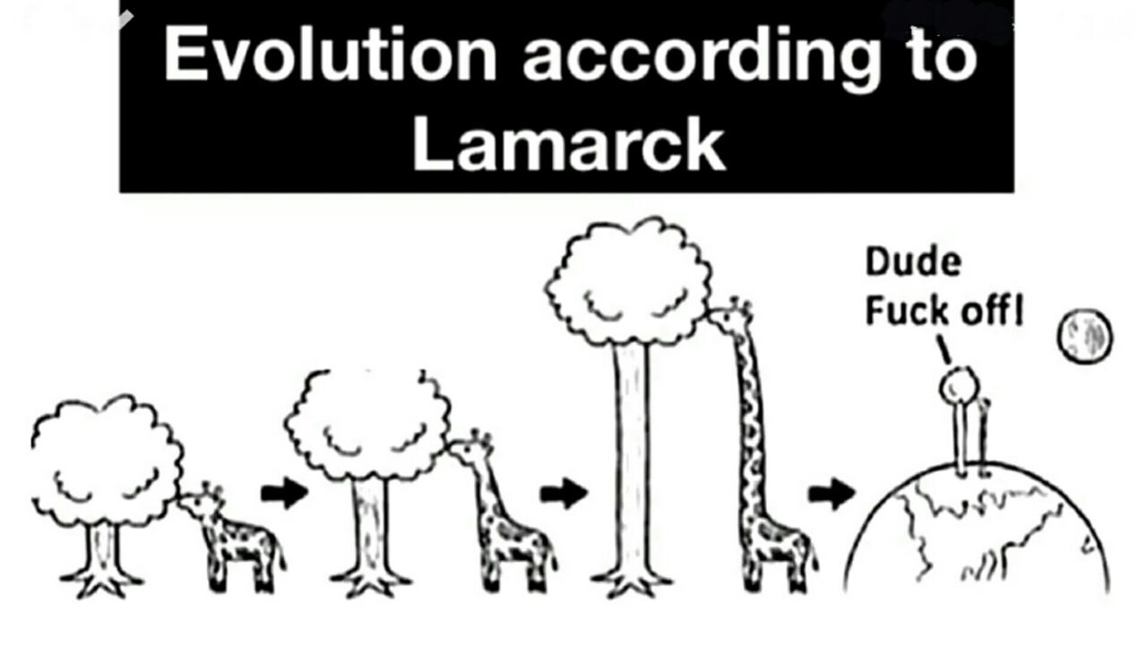 The Great Giraffe Neck Stretch Fail