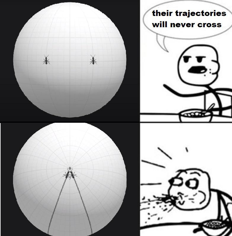 When Parallel Lines Have A Meetup