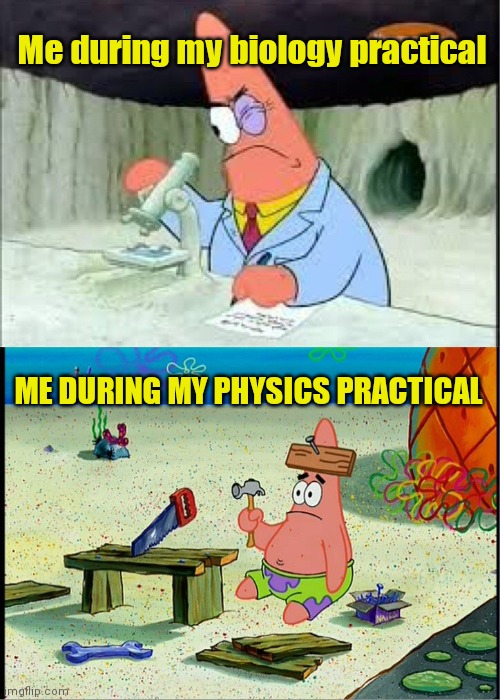 Biology Vs. Physics: The Lab Practical Showdown
