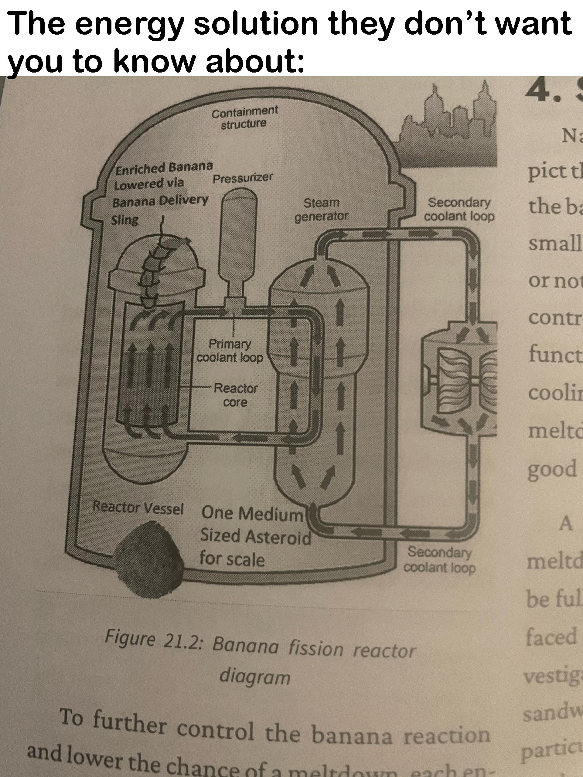 Bananas Split The Atom: The Peel-Powered Future