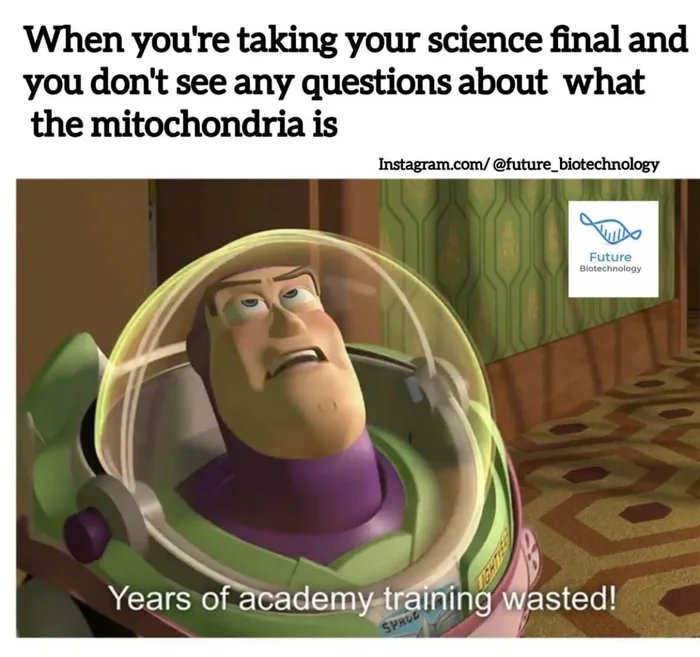 Mighty Mitochondria: The Powerhouse Of Disappointment