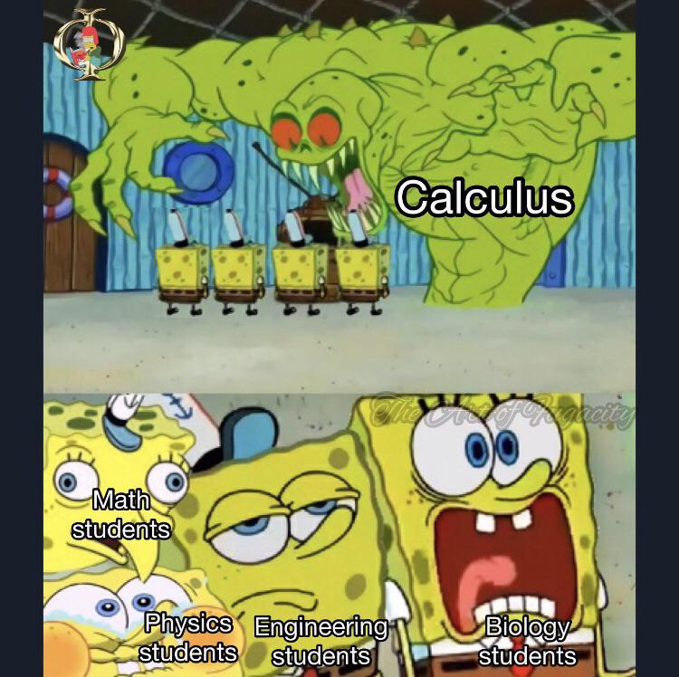The STEM Major Food Chain